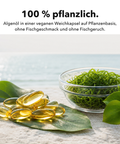 Omega 3 Vegan: 100 % pflanzlich