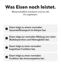 Liposomaler Eisen-Komplex: Was Eisen noch leistet