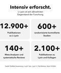 Liposomales L-Lysin: Intensiv erforscht