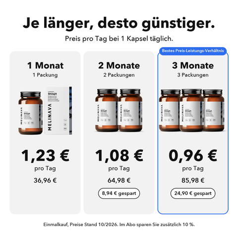 Liposomales Shilajit: Je länger, desto günstiger
