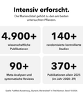 Liposomaler Mariendistel Extrakt: Intensiv erforscht