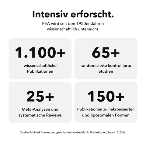 Liposomales PEA: Intensiv erforscht