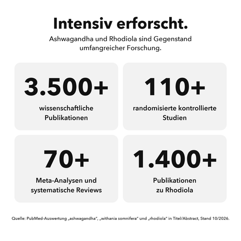 Liposomale Innere Balance: Intensiv erforscht