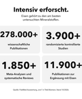 Liposomaler Eisen-Komplex: Intensiv erforscht