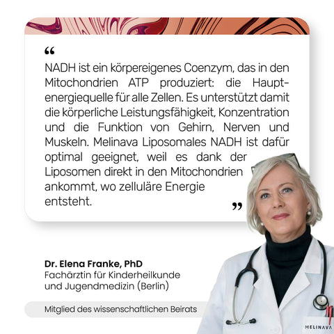 Liposomales NADH