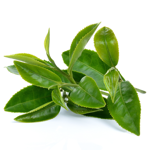 Liposomales L‑Theanin