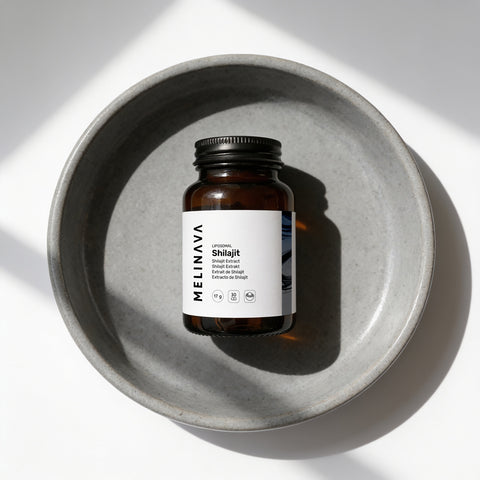 Liposomales Shilajit